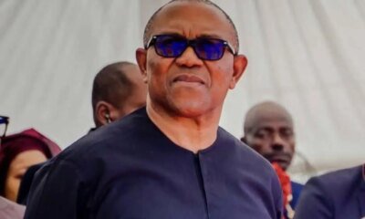 If I were him, I would be extremely suspicious – Adibe warns Obi on ADC coalition