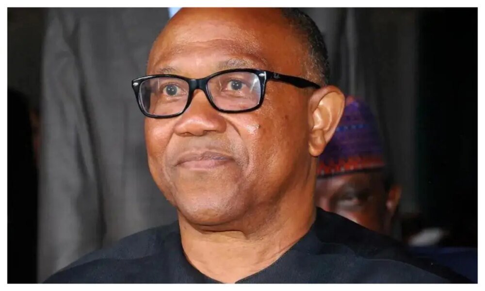 North won't vote for Peter Obi, biggest importer of alcohol - APC chieftain Hassan
