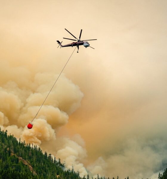 Lawyers demand Border Patrol release firefighter arrested while battling Washington wildfire