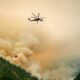 Lawyers demand Border Patrol release firefighter arrested while battling Washington wildfire