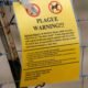California resident tests positive for plague after camping near Lake Tahoe