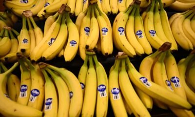 Eating these potassium-rich foods could drastically cut your risk of death, new study shows