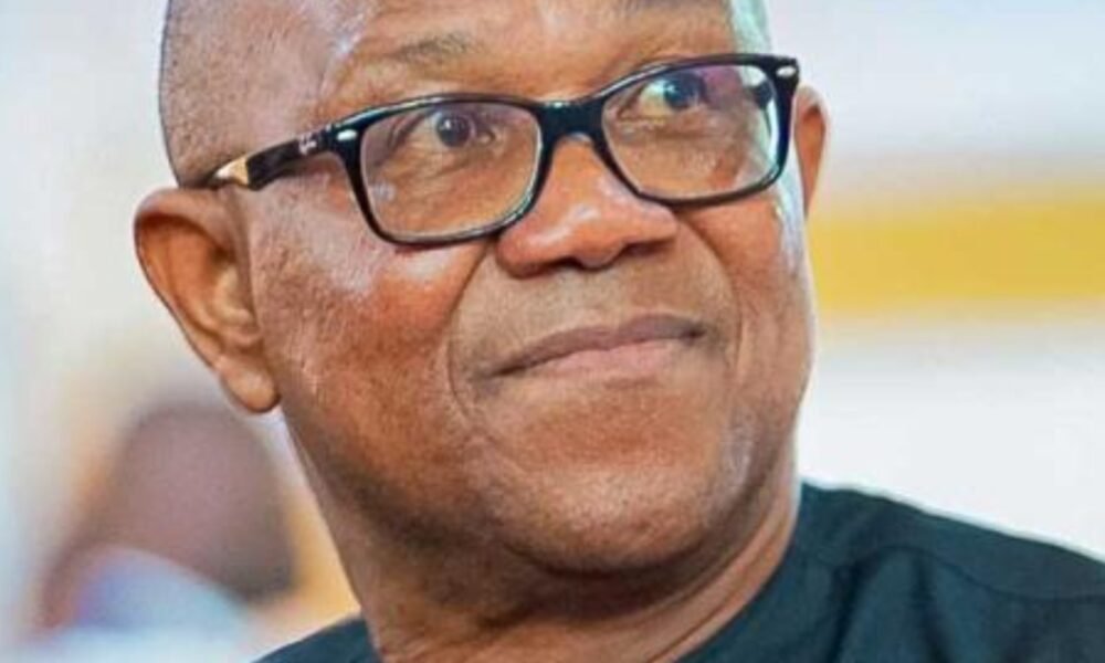 Peter Obi: One-term promise act of desperation - Northern Forum eyes Jonathan