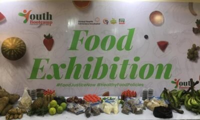 Urgent Call to Action: Can New Regulations on Unhealthy Foods Slash Disease Rates?