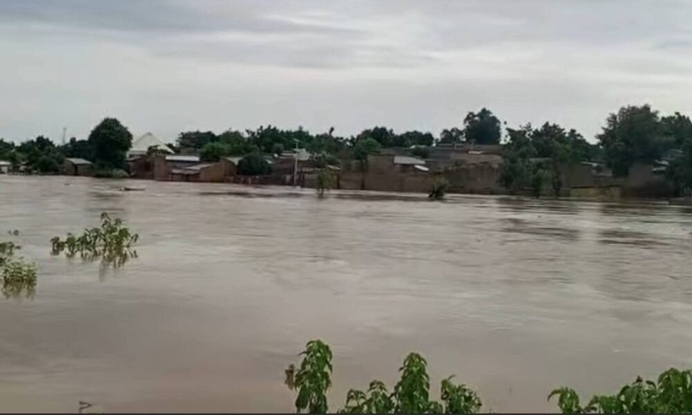 Urgent Flood Alert: Yobe Relocates Victims While Ondo and Sokoto Sound Safety Warnings!
