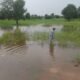 Urgent Warning: North-East Governors Sound the Alarm on Imminent Floods and Potential Food Crisis!