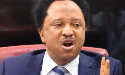 2027: Why Jonathan should not contest — Shehu Sani