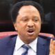 2027: Why Jonathan should not contest — Shehu Sani
