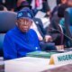 Declare state of emergency in Katsina, Zamfara over mass killings - ADC tells Tinubu