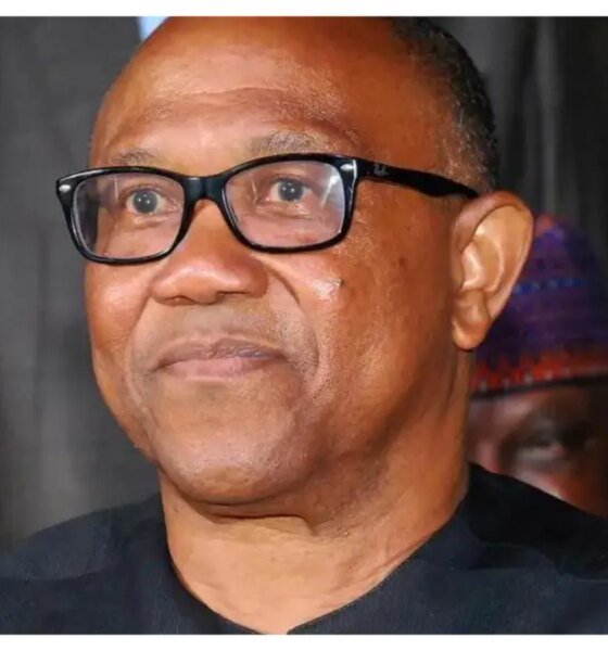 2027: Peter Obi not desperate to be president - Obidients tell ADC