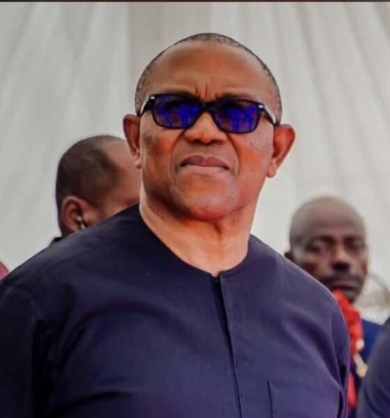 Peter Obi cause of Labour Party crisis - Edo chairman, Ativie