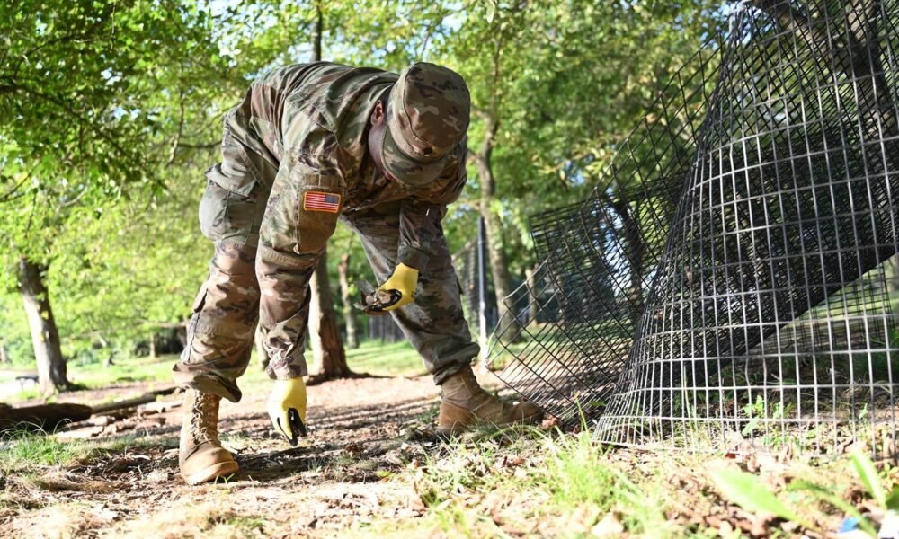 The numbers are in: National Guard deployed to DC to fight crime has picked up 500 bags of trash along 3.2 miles