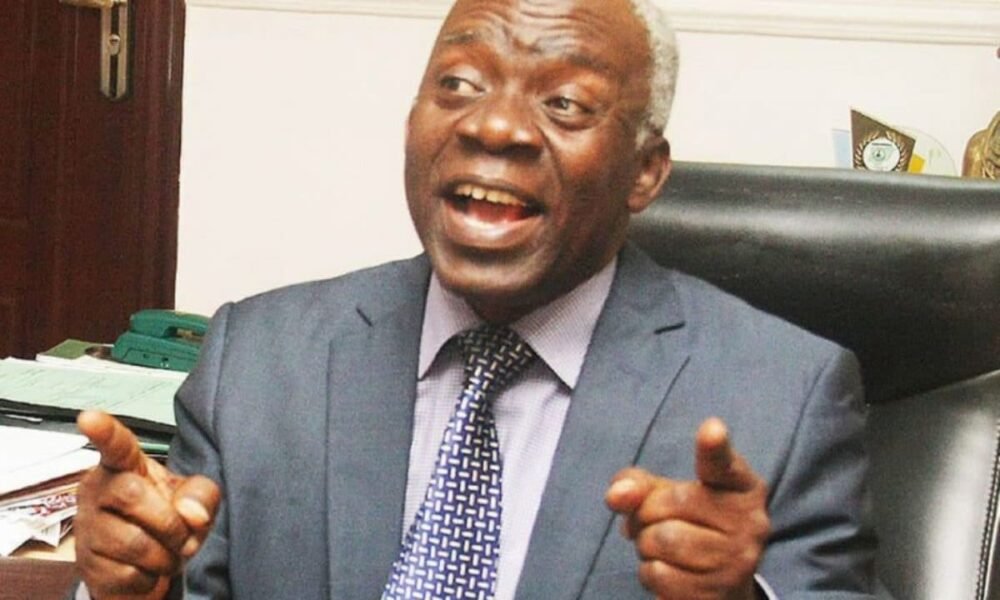 Single-term debate: Focus on solving Nigeria's problems - Falana tells politicians