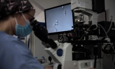 Turbo-charged robotic sperm are future of infertility treatments, scientists say
