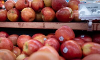 Eating this common food could save your lungs from air pollution