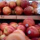 Eating this common food could save your lungs from air pollution