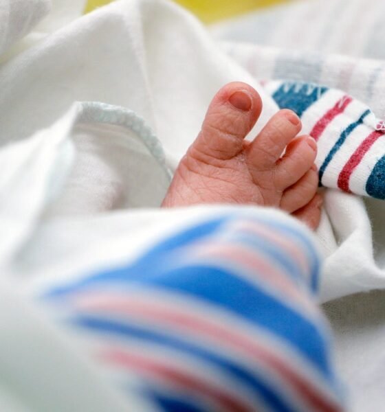 Project 2025 group wants a ‘Manhattan Project’ for babies – with huge changes to policy to encourage more kids