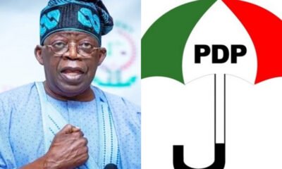 Ogun PDP backs Tinubu's second term bid