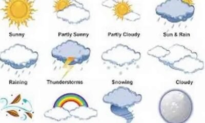 Prepare for Major Weather Alert: Nationwide Thunderstorms and Rain Forecasted for Next Three Days Starting Monday!