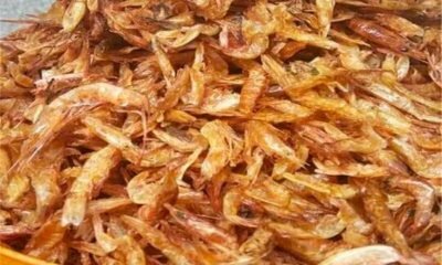 Shocking Beef Price Surge! Why Nutritionists Urge Nigerians to Switch to Crayfish and Edible Insects Now!