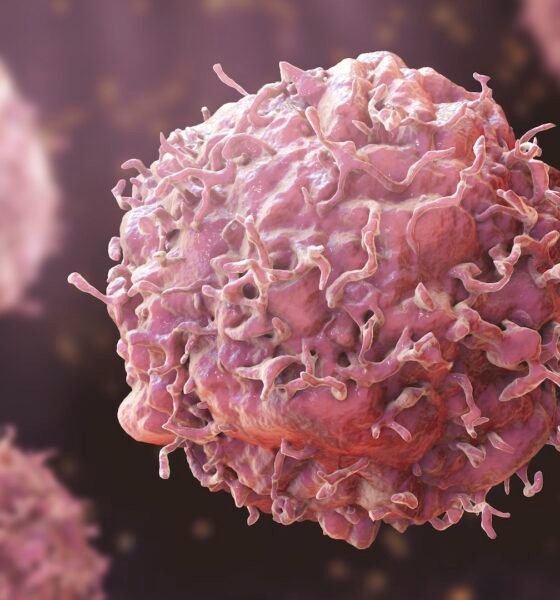Shocking Discovery: New Research Reveals How Glucose Supercharges Your Immune Cells to Battle Cancer!