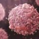 Shocking Discovery: New Research Reveals How Glucose Supercharges Your Immune Cells to Battle Cancer!