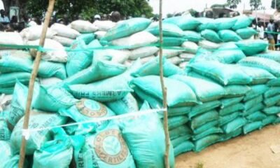 Shocking Numbers: Nigeria Set to Import 560,000 Tonnes of Fertilizer in 2025 – What It Means for Farmers!