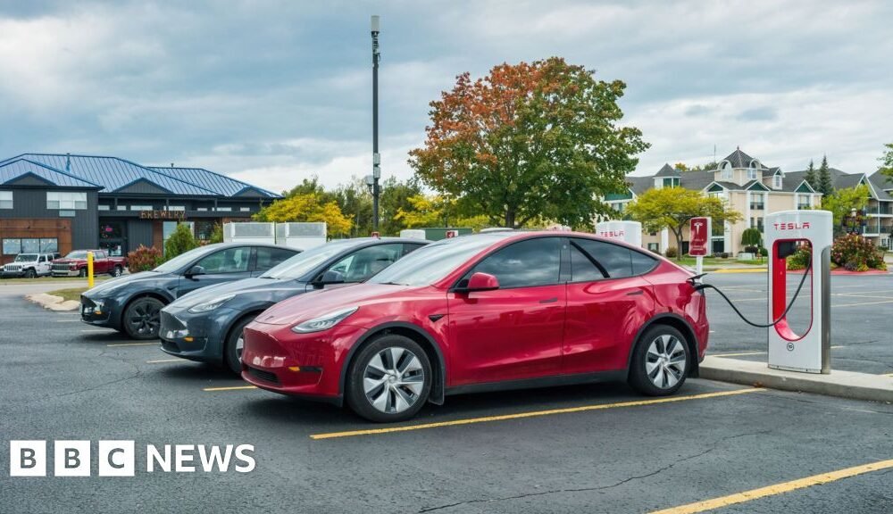 Shocking Tesla Investigation: Children Reportedly Trapped Inside Cars!