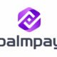 Unlock Financial Freedom: How PalmPay is Revolutionizing Inclusion with Trust and Local Partnerships!