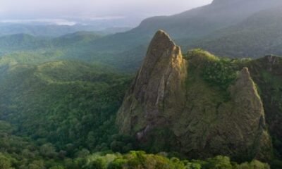 Unlocking Green Wealth: Nigeria’s Groundbreaking Carbon Project Scores Major UK Backing!