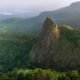 Unlocking Green Wealth: Nigeria’s Groundbreaking Carbon Project Scores Major UK Backing!