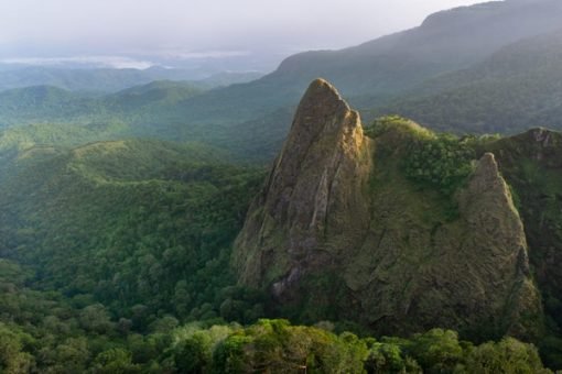 Unlocking Green Wealth: Nigeria’s Groundbreaking Carbon Project Scores Major UK Backing!