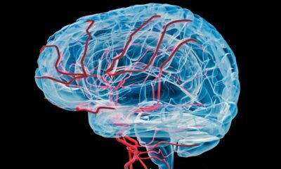 ‘Mileage clock’ found inside brain could help diagnose Alzheimer’s