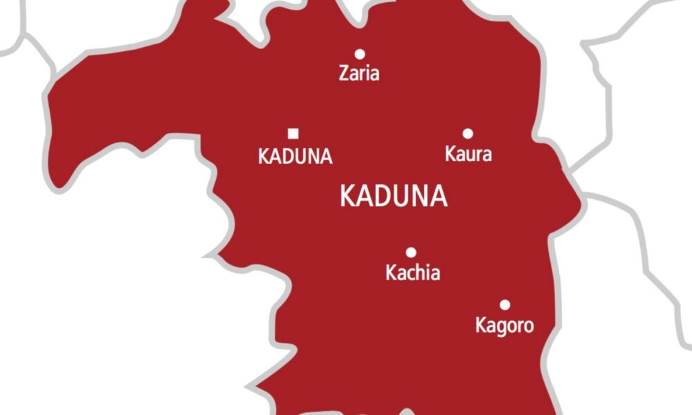 Kaduna bye-election credible but voter apathy, lack of enthusiasm widespread