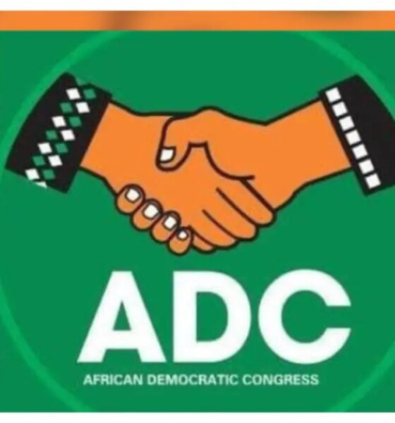Defections: Tinubu’s one-party state agenda gradually coming into reality - ADC