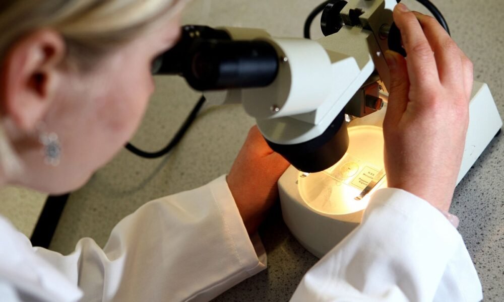 The toxin which could be causing increase in bowel cancer among young people