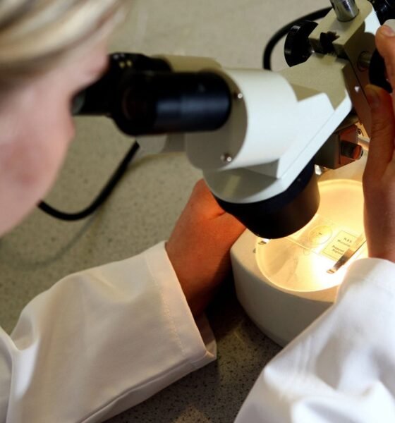 The toxin which could be causing increase in bowel cancer among young people