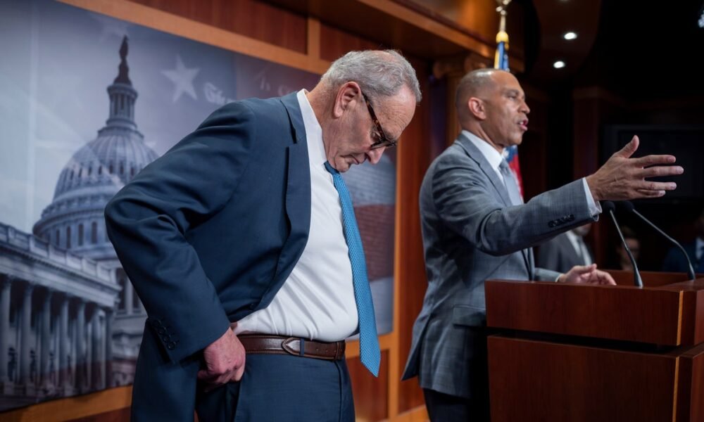 Democratic strategist admits some in party have ‘charisma of watching paint dry’ as they think of ways to reach young men