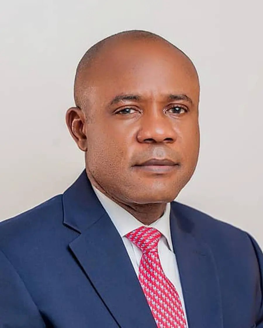 Governor Mbah coerced into joining APC - PDP spokesman Ologunagba