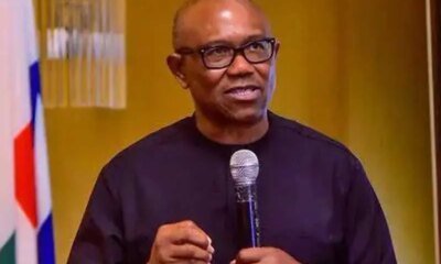 2027: INEC must verify certificates presented by Tinubu, govs, others - Peter Obi