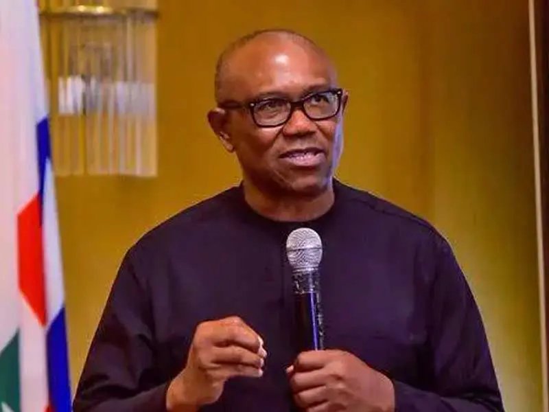 2027: INEC must verify certificates presented by Tinubu, govs, others - Peter Obi