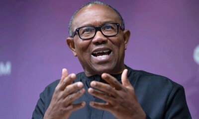 Certificate Forgery: How INEC, Senate must deal with offenders before 2027 - Peter Obi