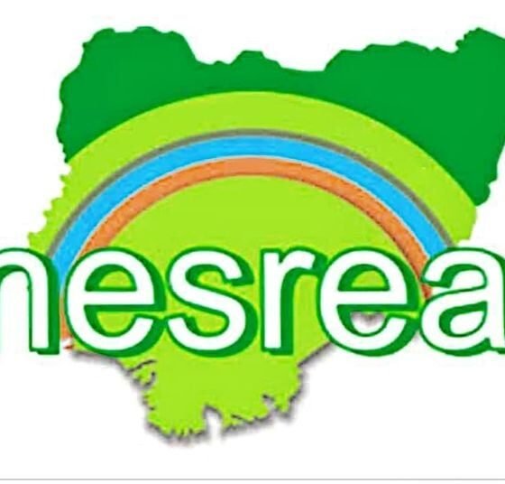 Shocking Discovery: NESREA Destroys 700 Sacks of Donkey Parts in Kaduna!