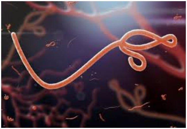 Shocking Ebola Outbreak Claims 42 Lives in DR Congo – What You Need to Know Now!