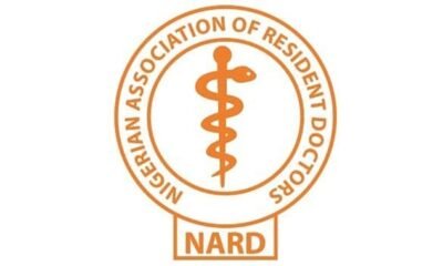 Shocking Statistic: Nigeria's Doctor-to-Patient Ratio Soars to an Alarming 1 Doctor for Every 9,083 Patients, Warns NARD!