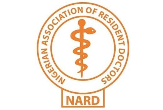 Shocking Statistic: Nigeria's Doctor-to-Patient Ratio Soars to an Alarming 1 Doctor for Every 9,083 Patients, Warns NARD!