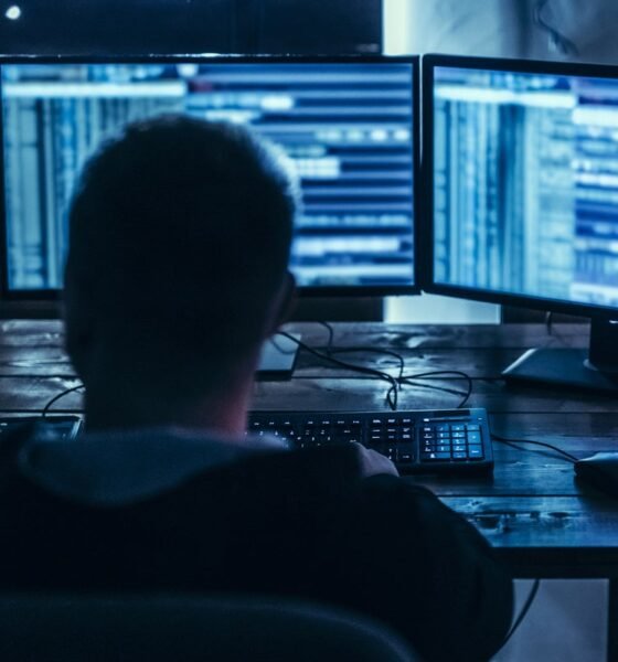 Thousands of civil servant passwords leaked online as experts warn of ‘serious risk’