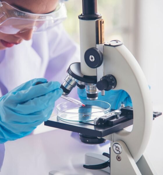 New genetic tests could ‘transform’ incurable blood cancer care