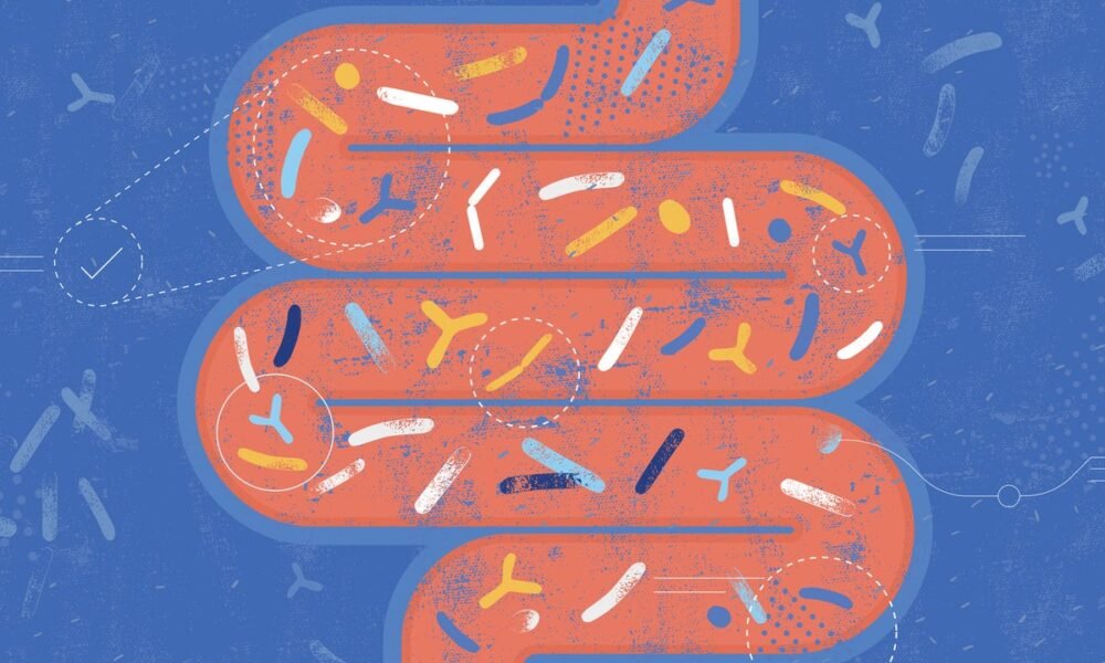 Microplastics can affect the gut in ways that mirror the impact of cancer, research suggests