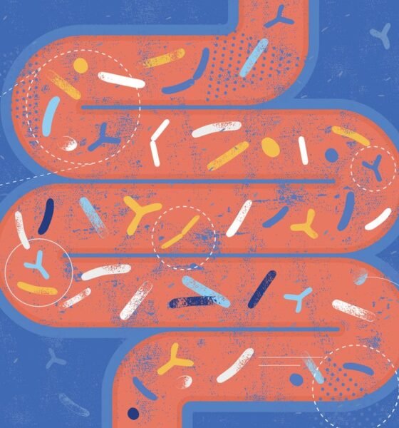 Microplastics can affect the gut in ways that mirror the impact of cancer, research suggests